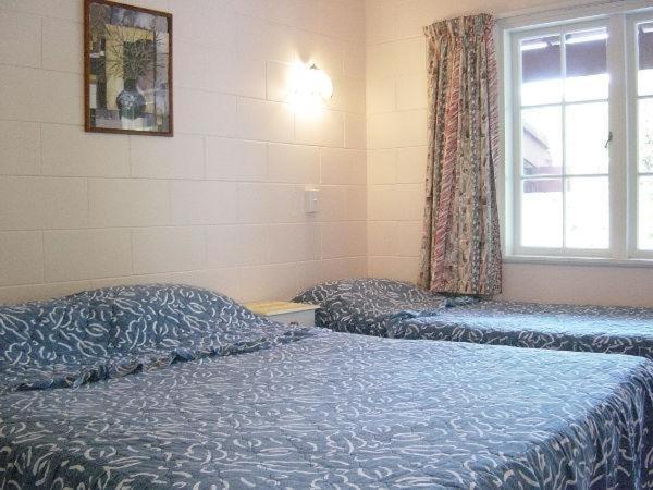 Okura Bush Browns Bay Olive Tree Motel & Apartment חדר תמונה
